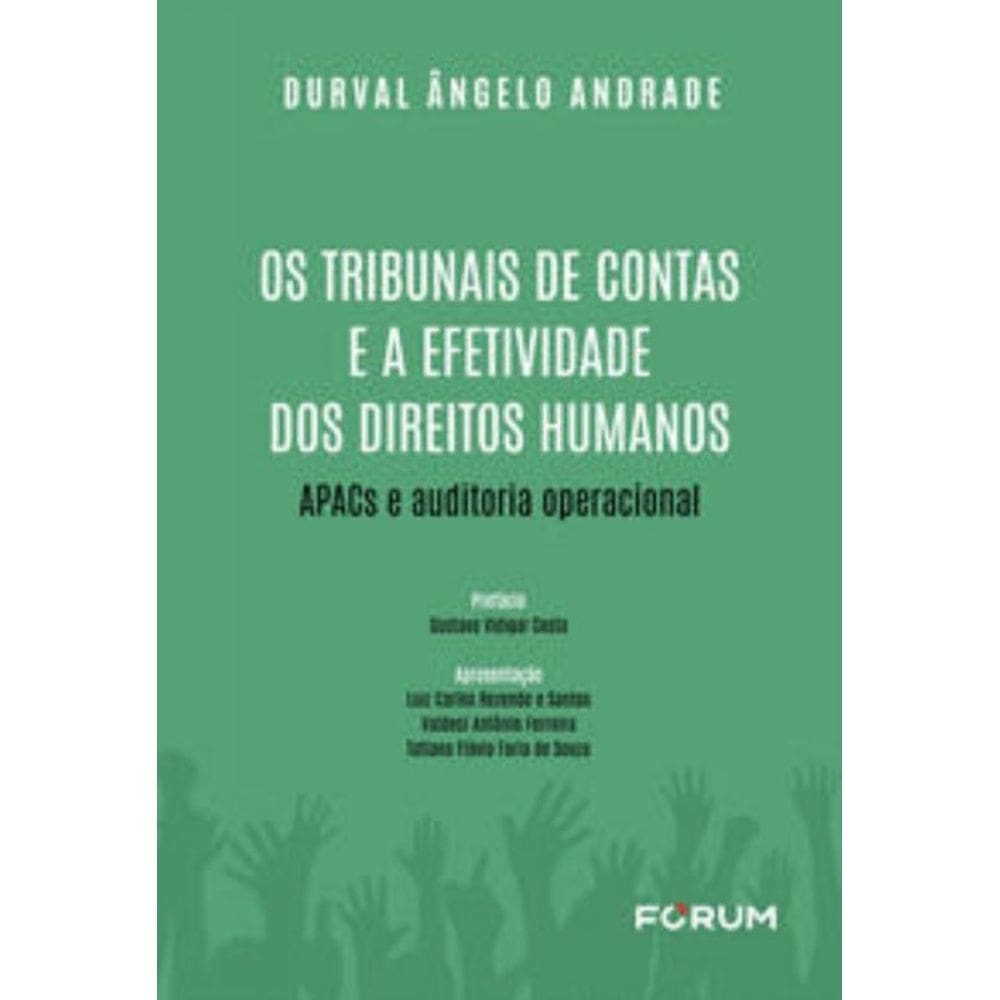 Os Tribunais de Contas e a Efetividade dos Direitos Humanos