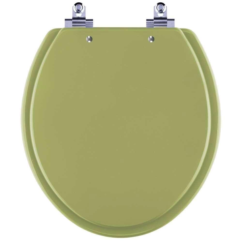 Assento Sanitário Laqueado Soft Close Azalea Verde Itapua Para Vaso Celite