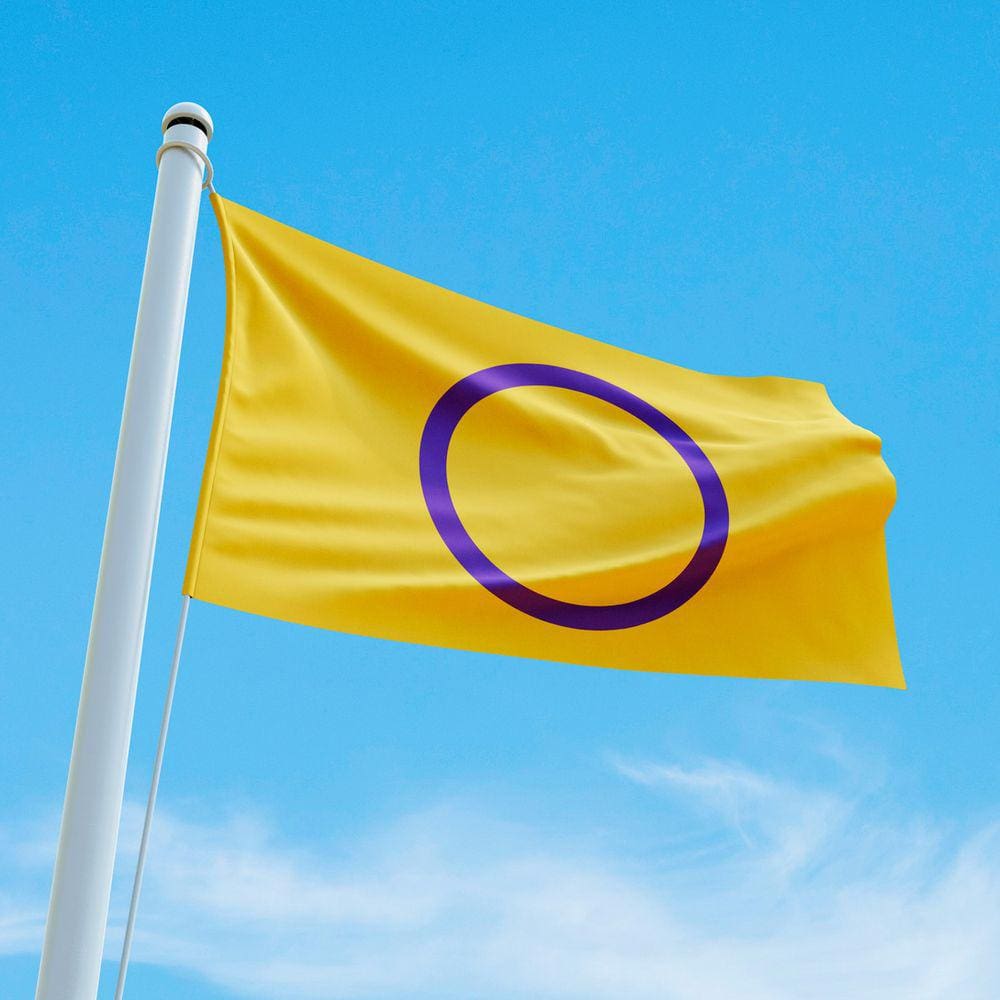 Bandeira Avulsa Orgulho LGBT Cores em Cetim Brilhante - Tamanho Médio 80cm x 55cm
