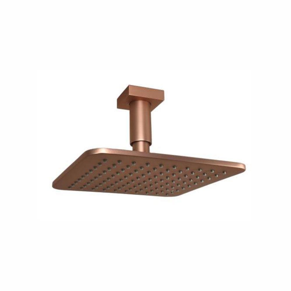 Chuveiro De Teto Dom - Rose Fosco