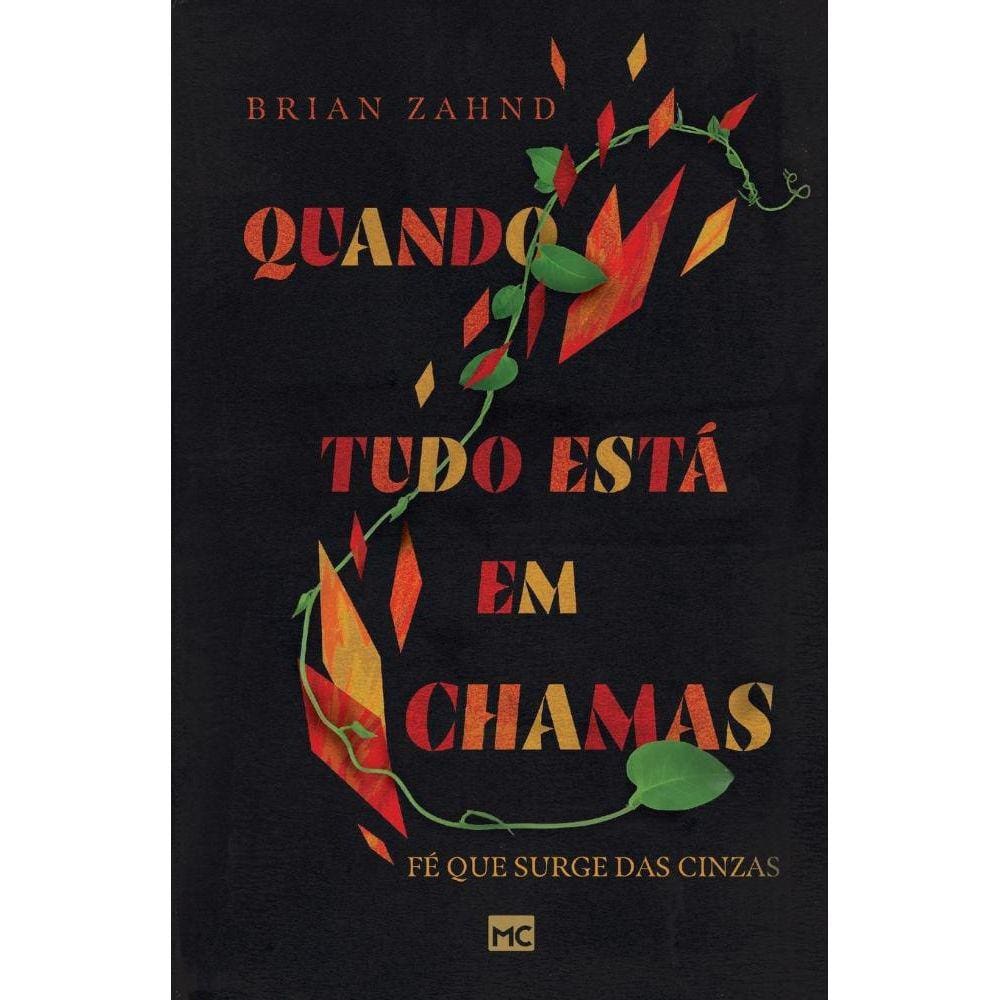 Livro Quando tudo está em chamas
