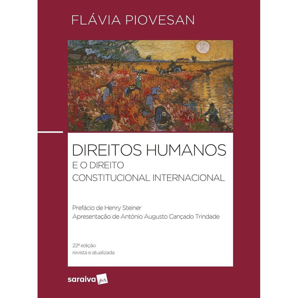 Direitos Humanos e Direito Constitucional Internacional 22ª