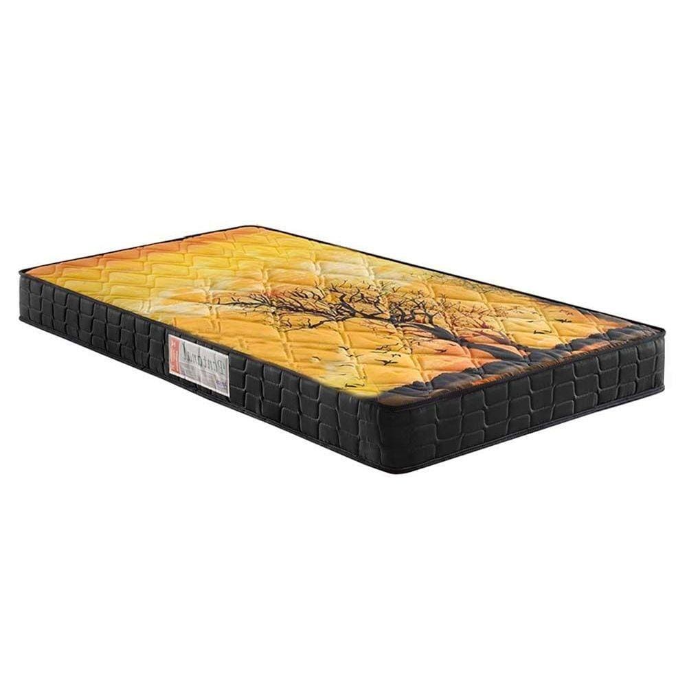 Colchão Solteiro Anatômico D28 / AG 65 Pantanal Black (78x188x17) - Anjos