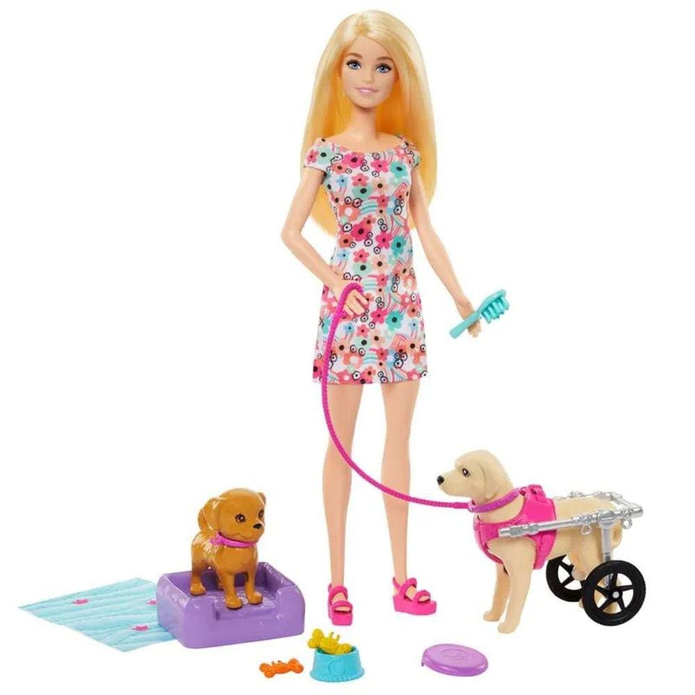 Boneca Barbie Passeio Com Pet Na Cadeira de Rodas - Mattel