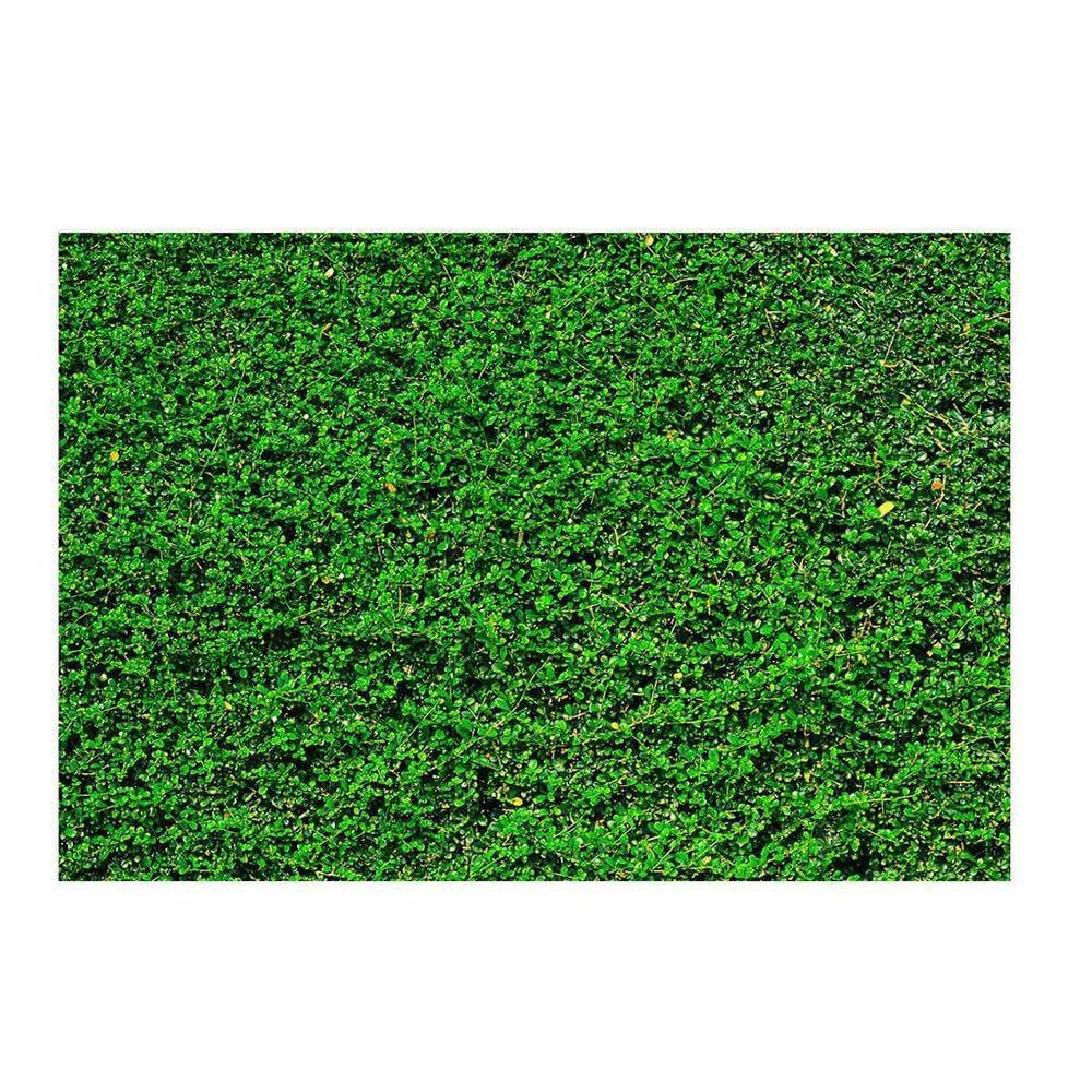 Fundo Fotográfico Muro Inglês 2,2X1,5 Fff-502