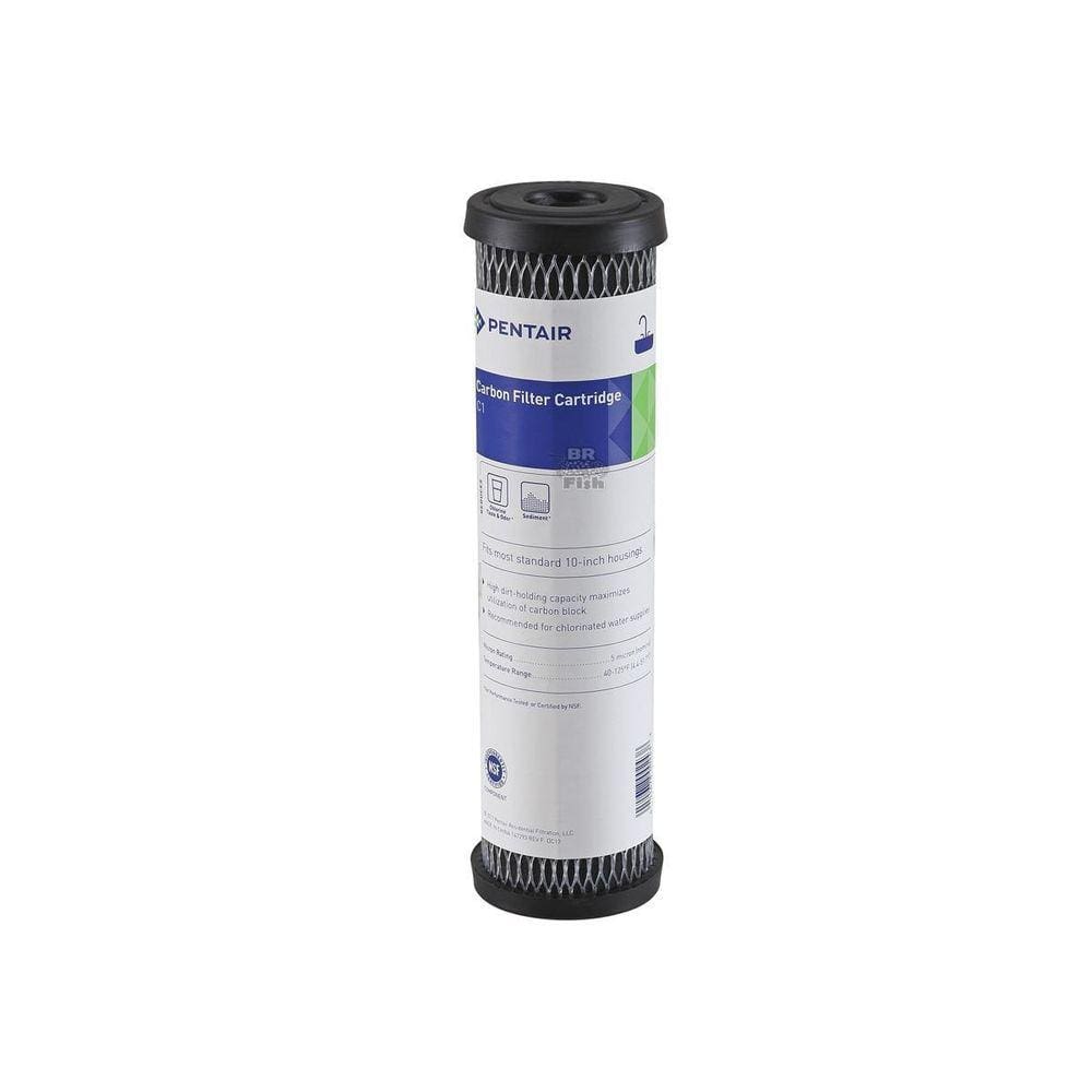Refil Celulose Carvão Impregnado Pentair C1 9.3/4 5 Micras