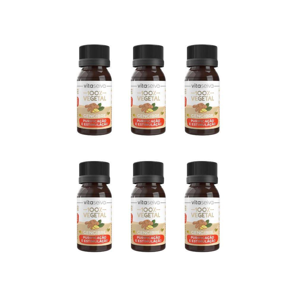Oleo Capilar Vegetal Vita Seiva Gengibre 30ml-Kit C/6un