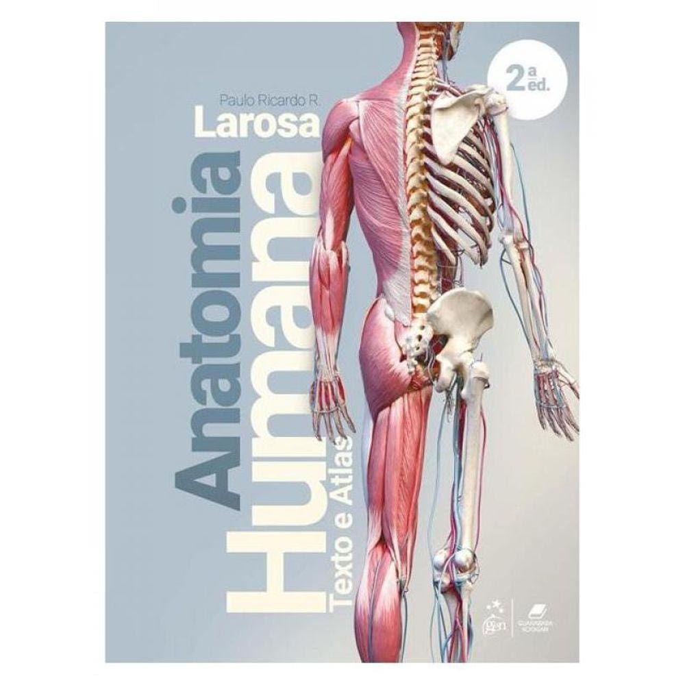 Anatomia Humana