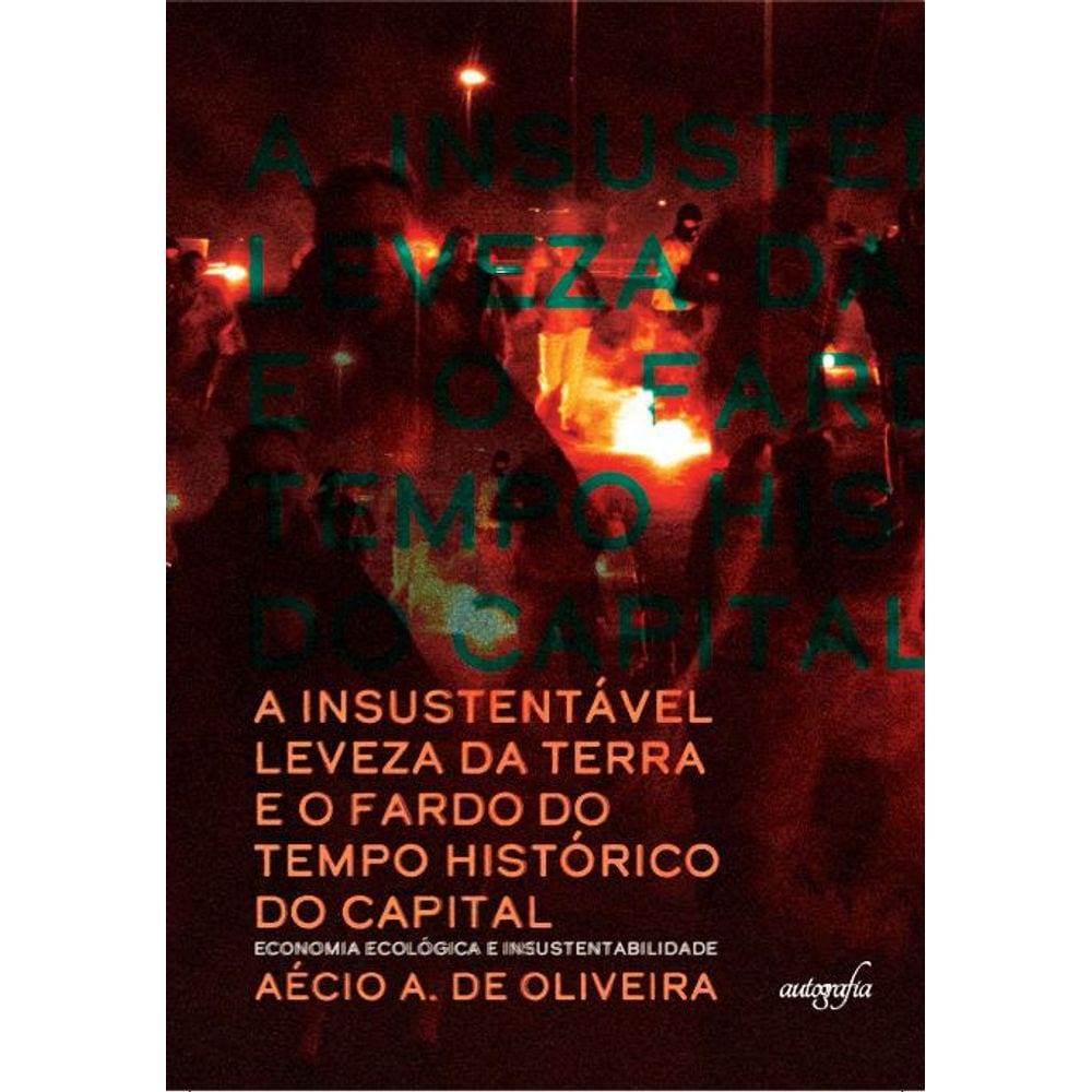 A insustentável leveza da Terra e o fardo do tempo histórico do capital: Economia ecológica e insustentabilidade