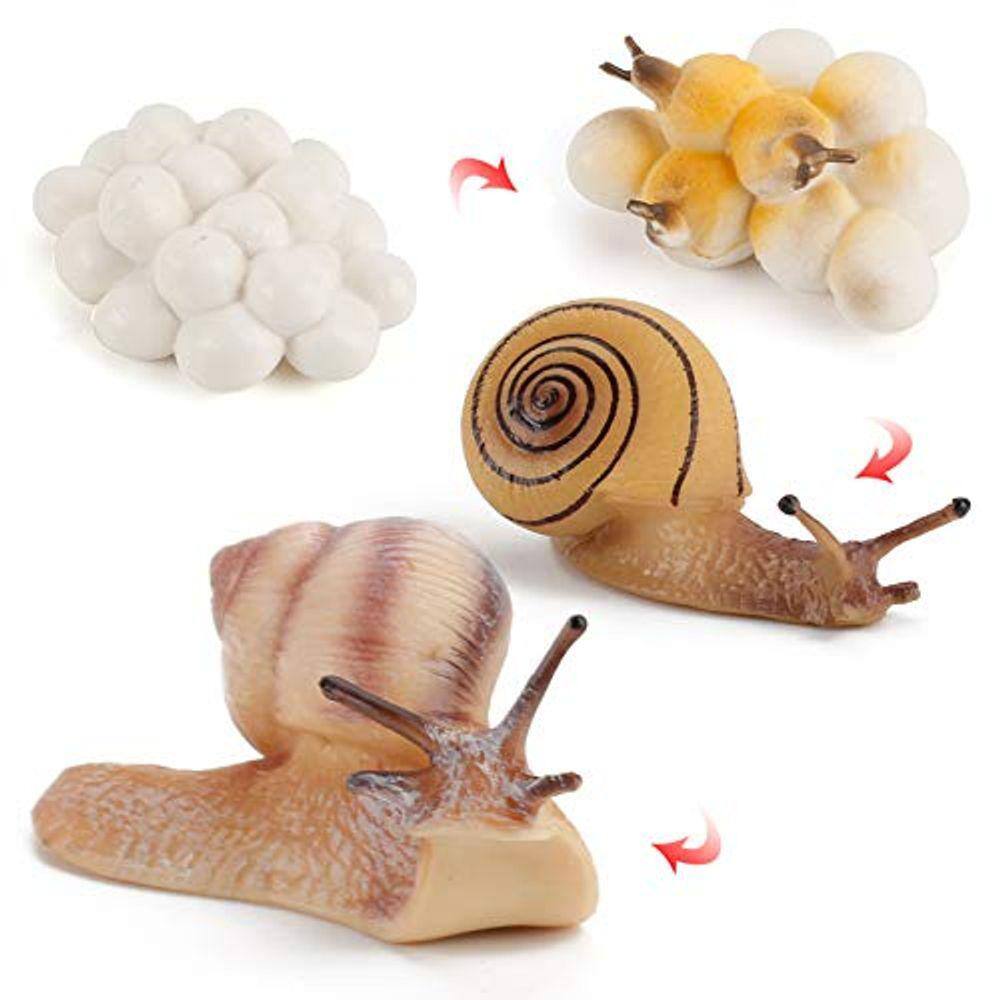4 PCS Gary Farm Animal Life Cycle Modelo Figura Caracol Festa de Estatueta favorece suprimentos Bolo Toppers Desktop Decoração Coleção Brinquedos Educ