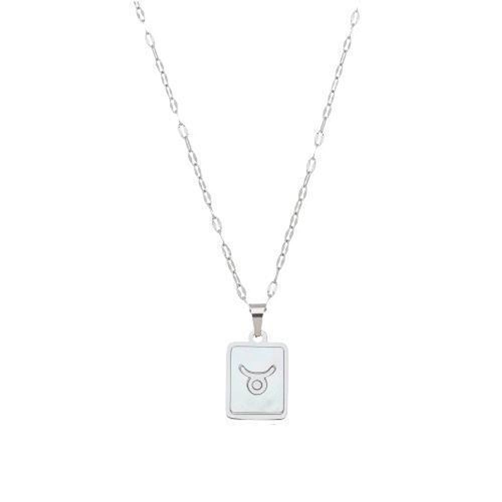 Colar Signo Madrepérola Corrente -Aço - Touro