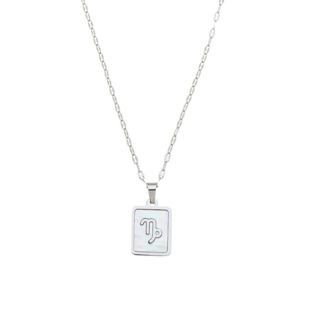 Colar Signo Madrepérola Corrente -Aço - Capricórnio