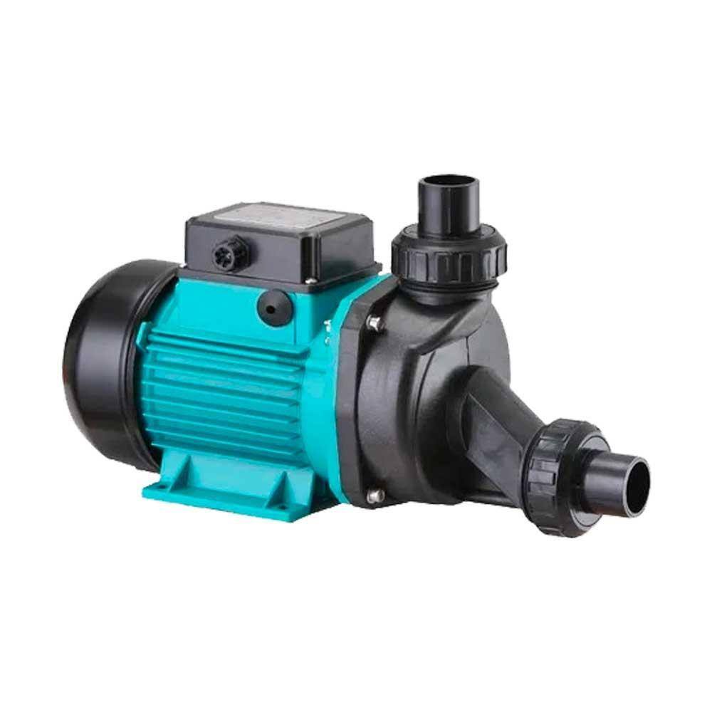 Motobomba Para Banheira Hidromassagem 1,5 Cv Lepono 220v