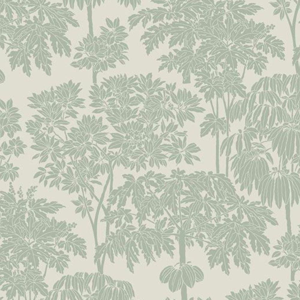 Papel de Parede Ciara Folhagem Verde A63402
