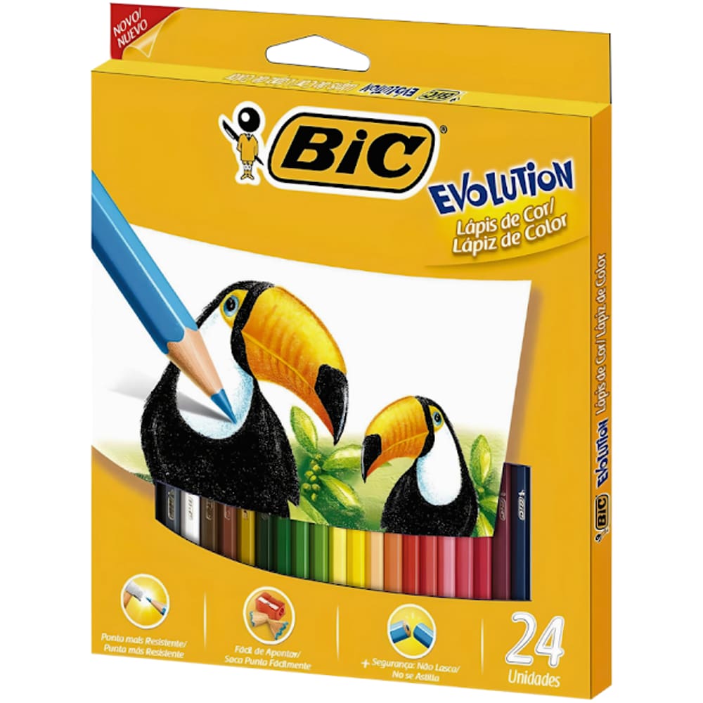 Lápis De Cor Sextavado Evolution 24 Cores Bic