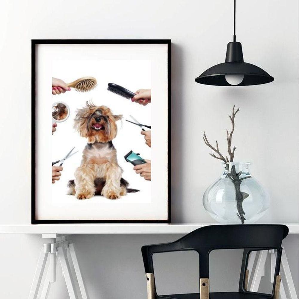 Quadro Decorativo Para Pet Shop - 60X48Cm