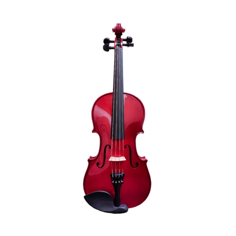 Violino 4/4 PAGANINI - Tampo Maciço e com Estojo Retangular - Ajustado por Luthier - PHV 110