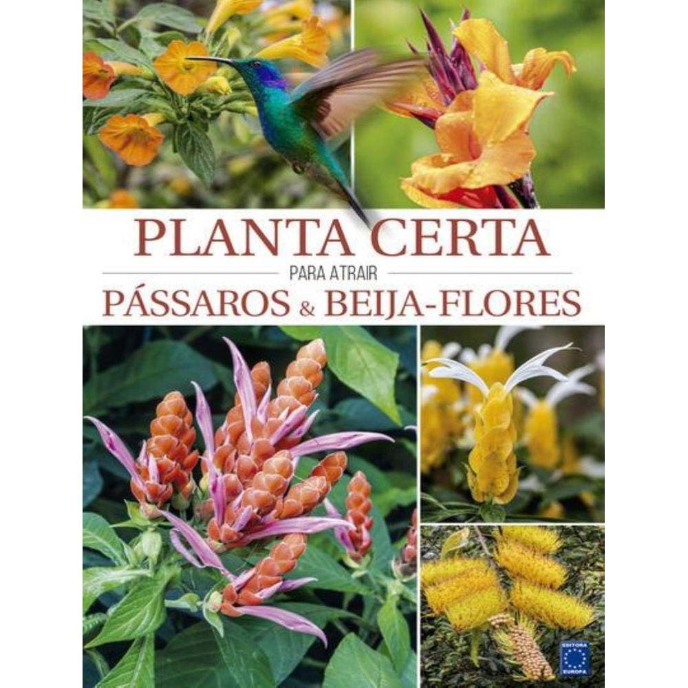 Planta Certa Para Atrair Passaros & Beija-Flores