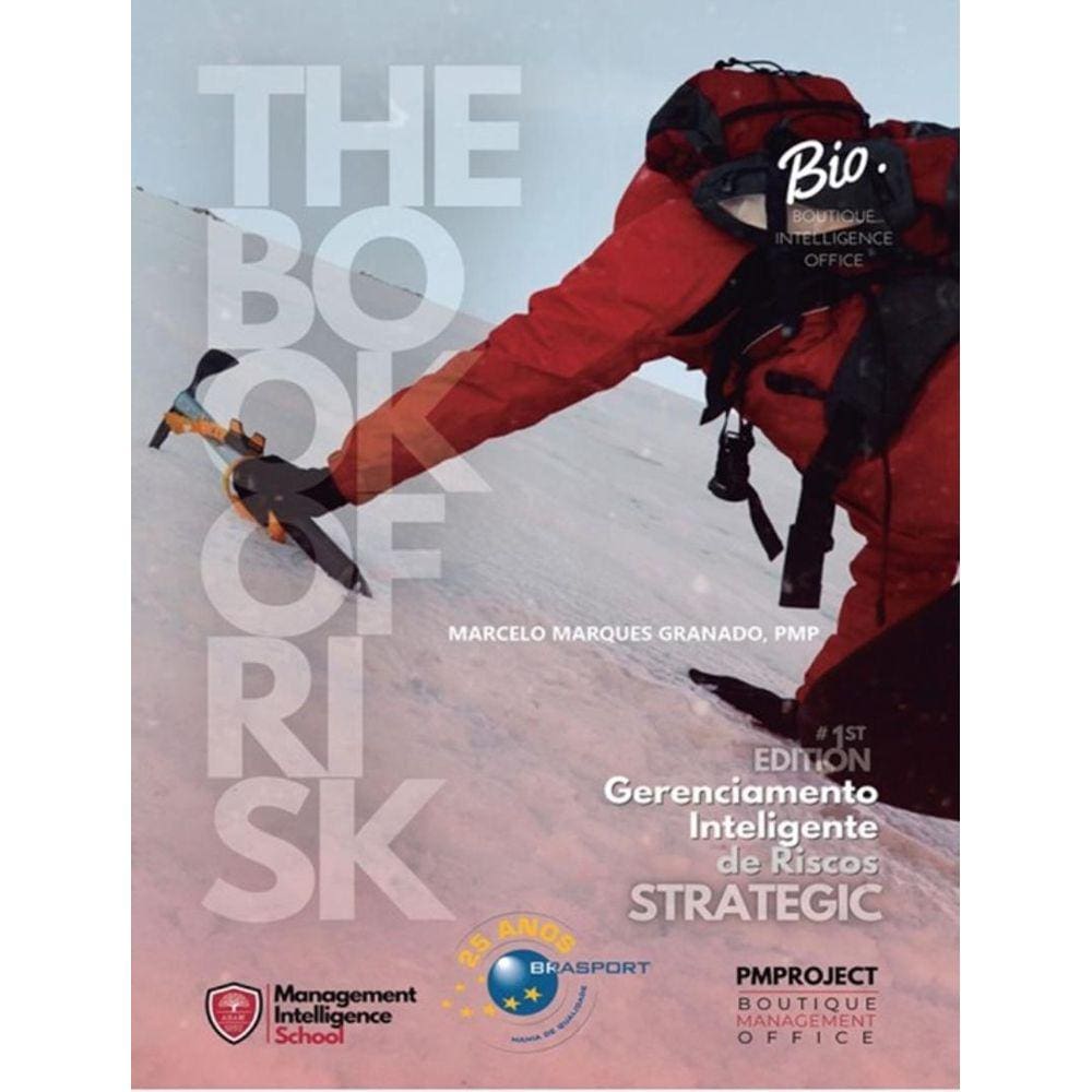 Gerenciamento Inteligente De Riscos - The Book Of Risk