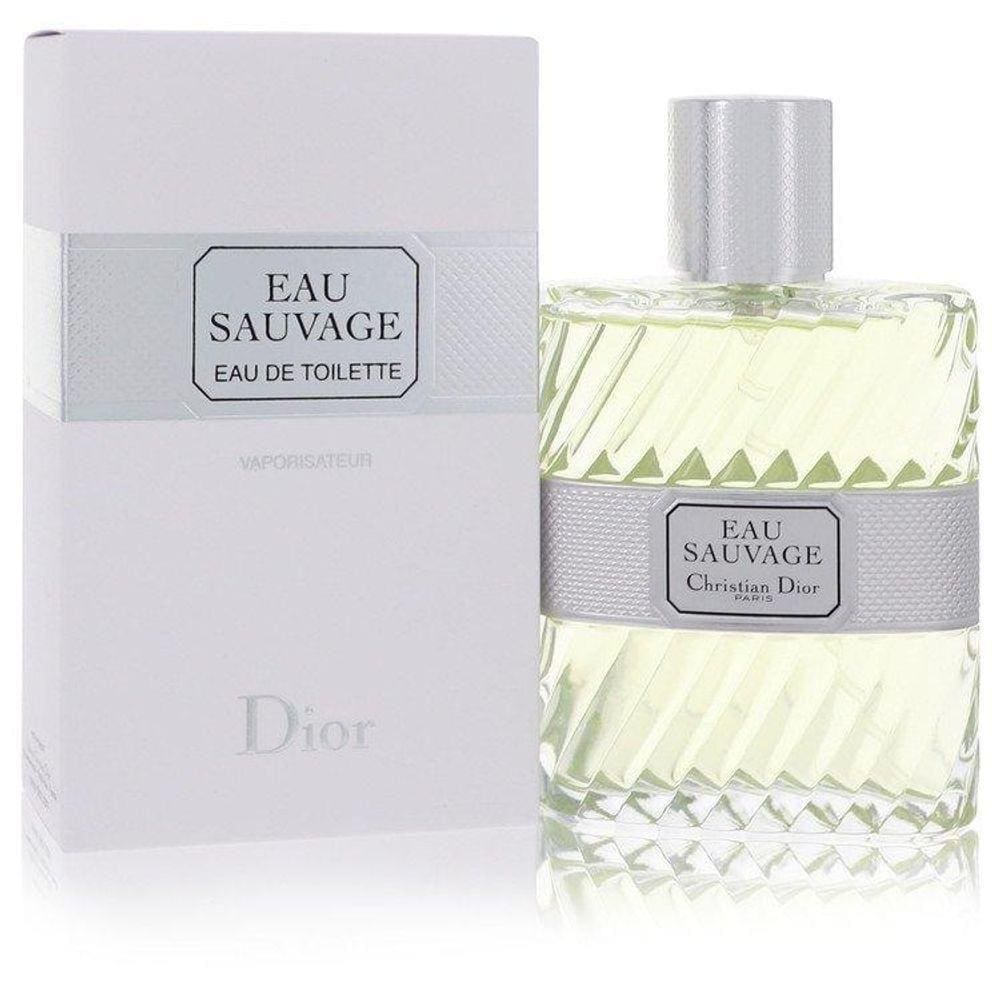 Perfume Masculino Sauvage Christian Dior 100 Ml Eau De Toilette
