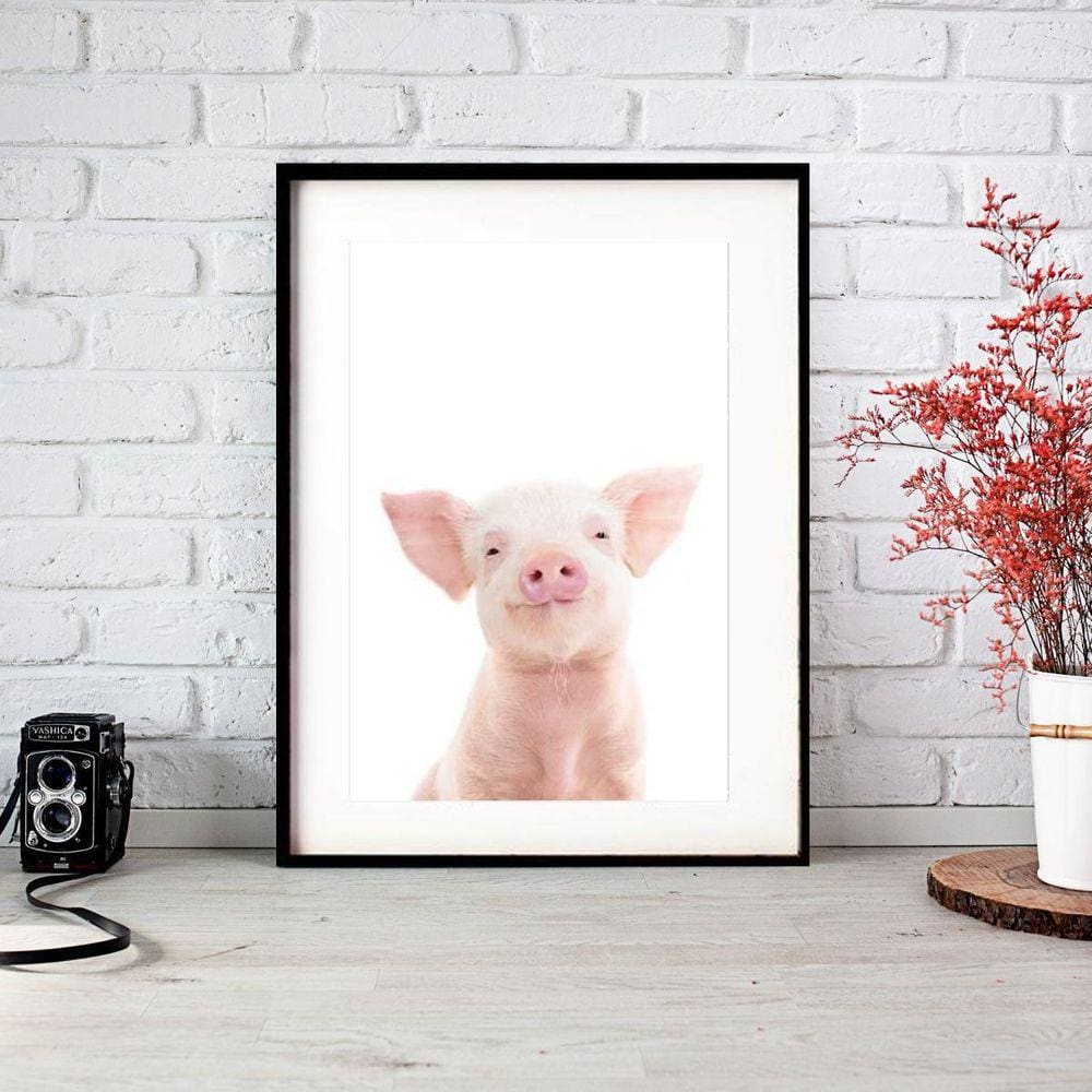 Quadro Decorativo Baby Pig - 60X48Cm