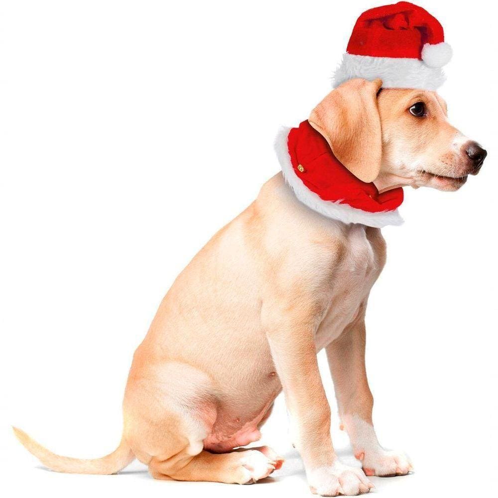 Roupinha Natalina Cachorro Porte Médio Gorro E Gola Vermelho
