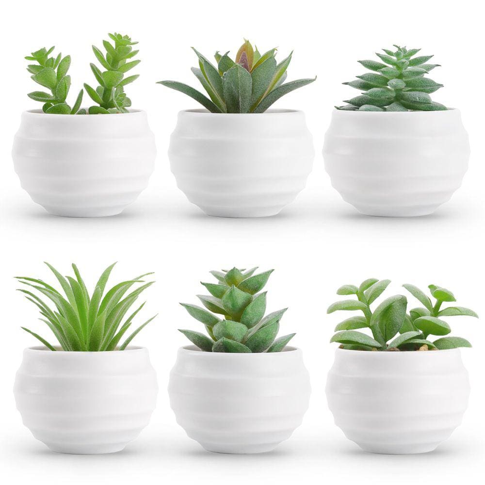 Conjunto de suculentas artificiais Der Rose com 6 plantas para decoração doméstica