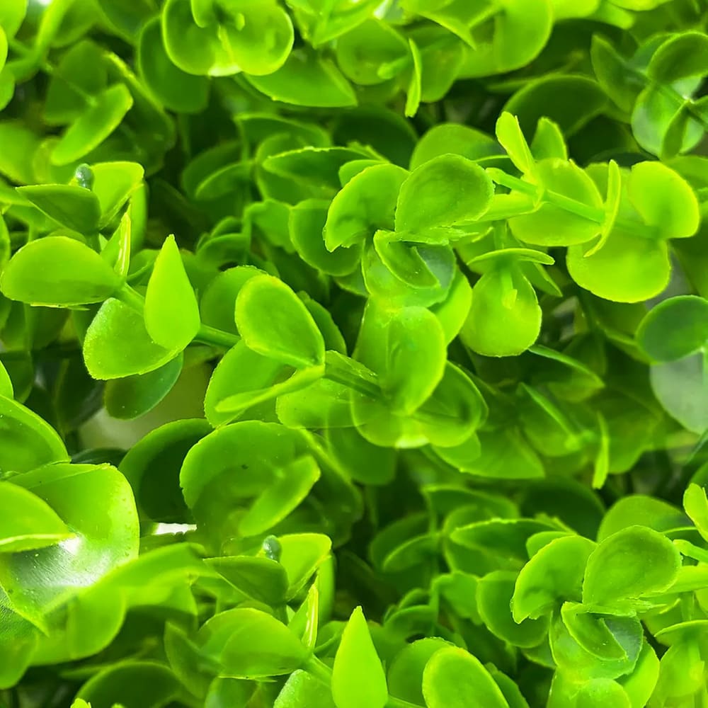 Placa De Eucalipto 40 x 60cm Muro Inglês Jardim Vertical