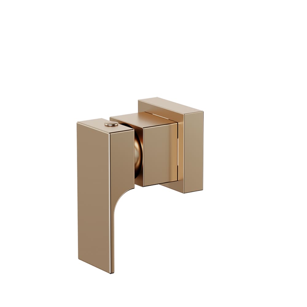 Acabamento Para Registro 3/4, 1/2 E 1 Fani Retta Champagne  509 Ch330