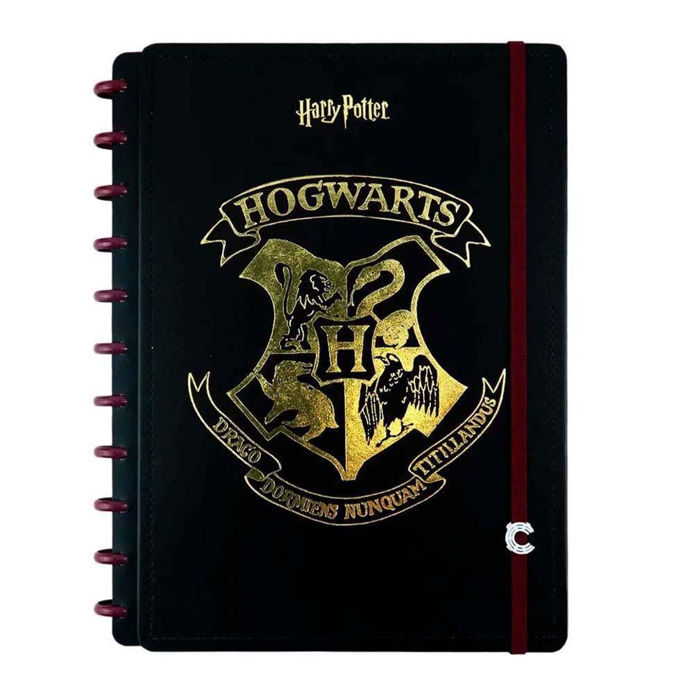 Caderno Inteligente Harry Potter Hogwarts 80Fls - Médio