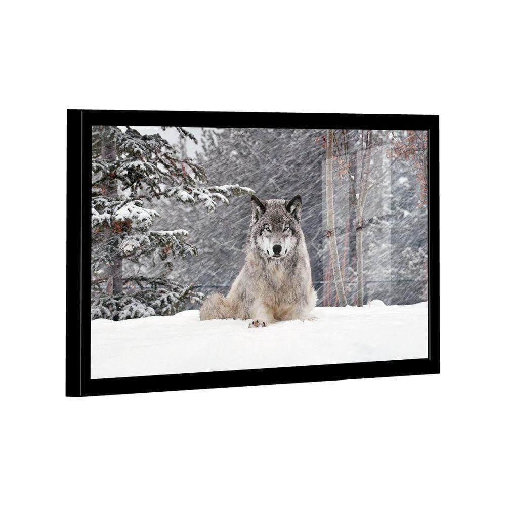 Quadro Lobo Cinzento -- Br Artes