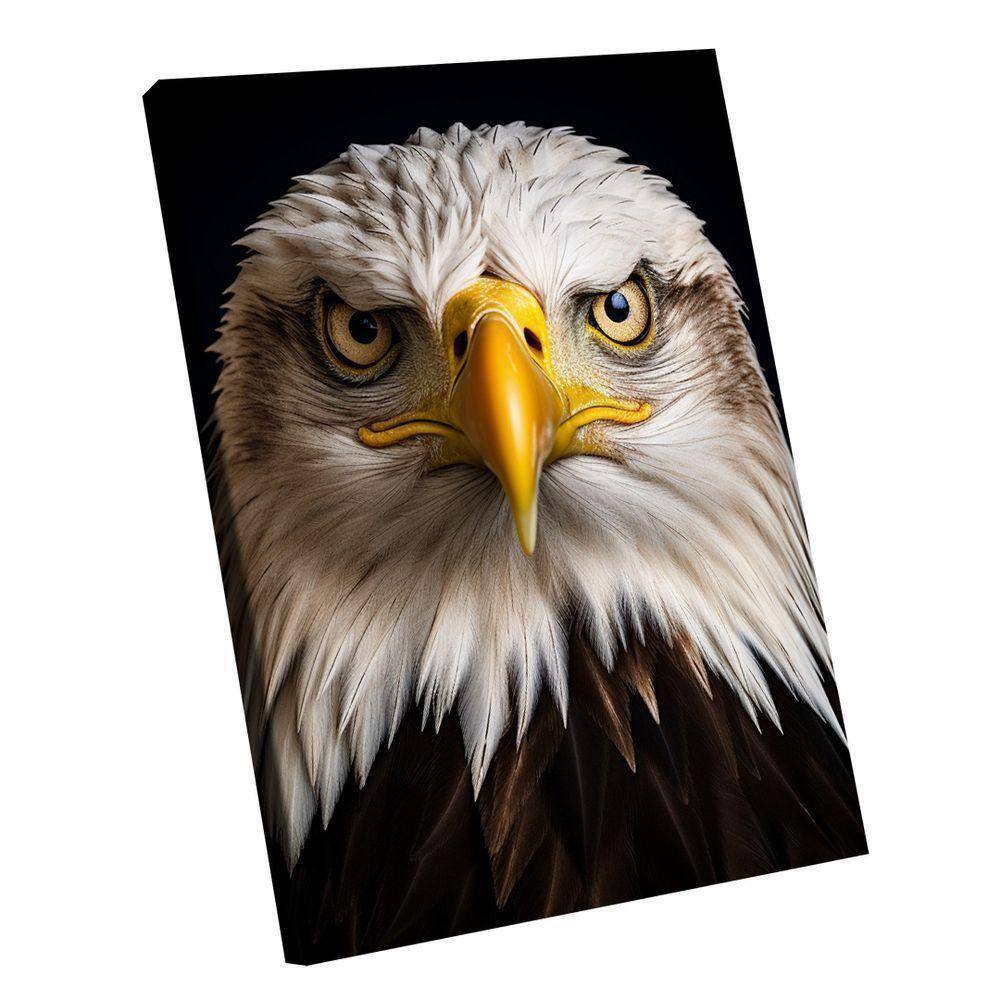 Quadro águia De Cabeça Branca -- Br Artes