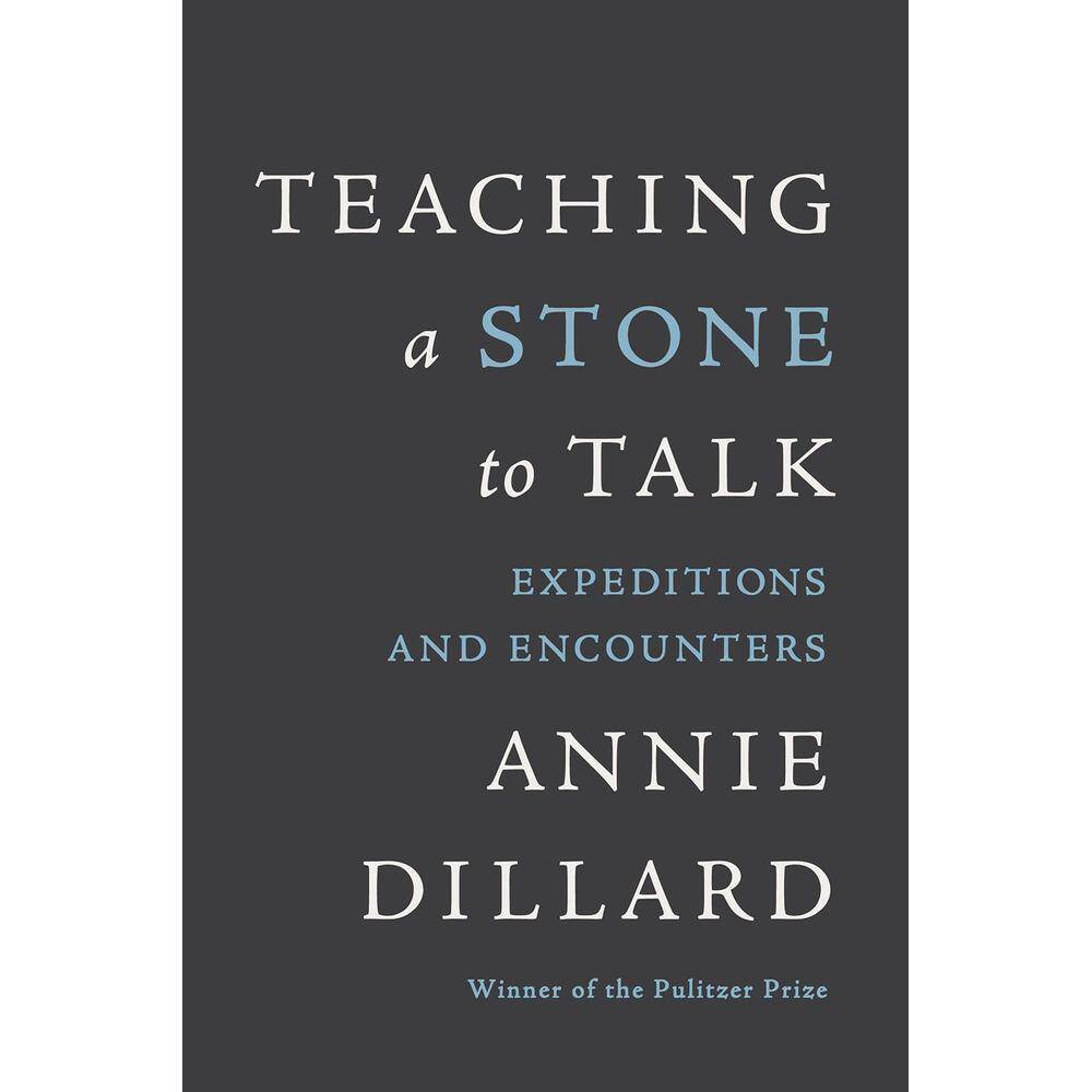 Teaching a Stone to Talk