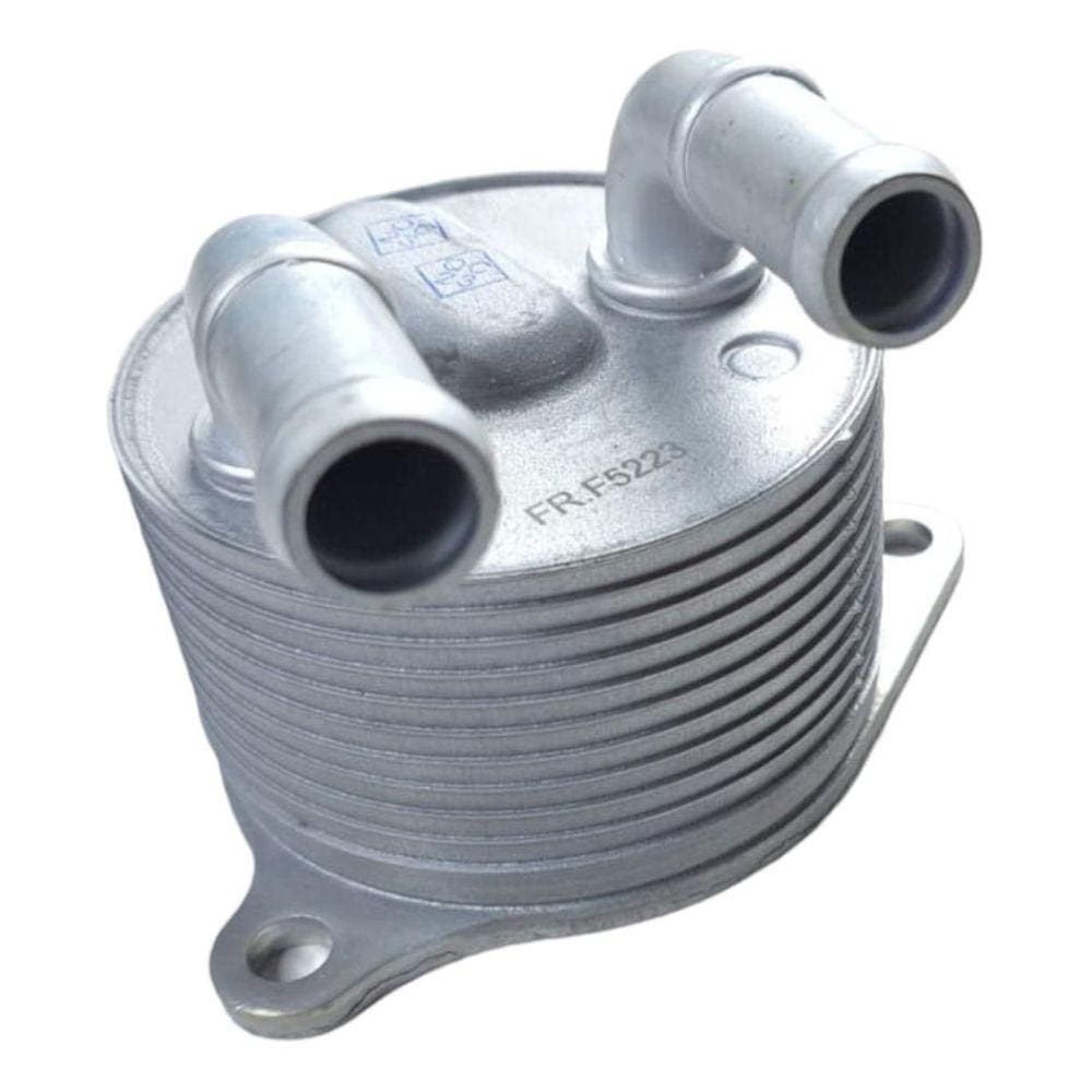 Resfriador Trocador De Calor Argo Cronos Toro Renegade Mini Cooper 1.5 1.8 2.0 16v Etorq