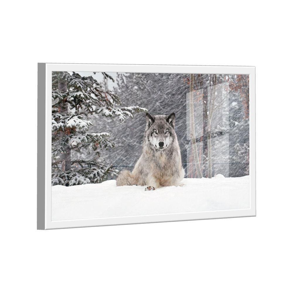 Quadro Lobo Cinzento -- Br Artes