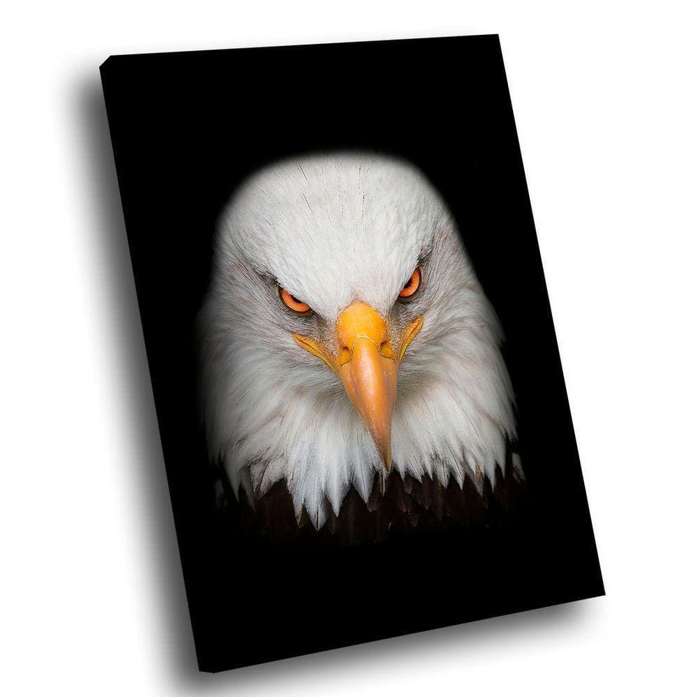 Quadro Visão De águia -- Br Artes