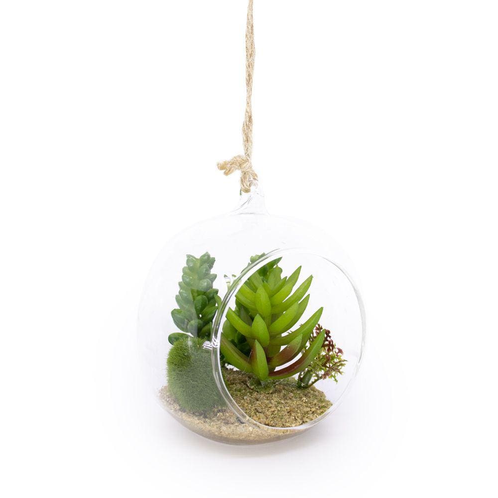 Flor Suculenta com Vaso de Vidro para Pendurar Sala Verde 11 cm F04 - D`Rossi