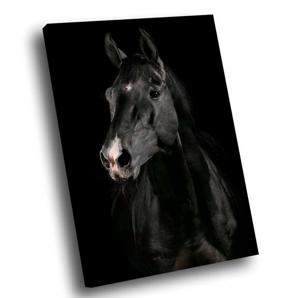 Quadro Cavalo Preto -- Br Artes