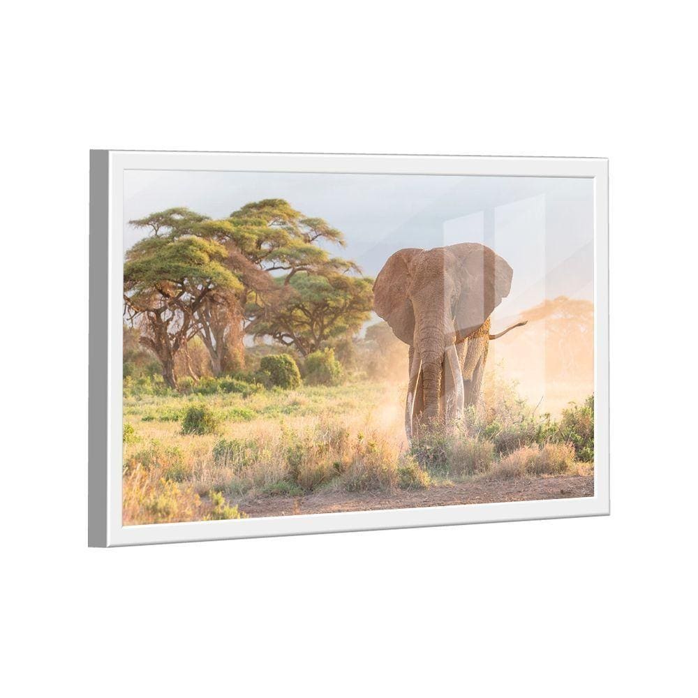 Quadro Elefante Savana -- Br Artes