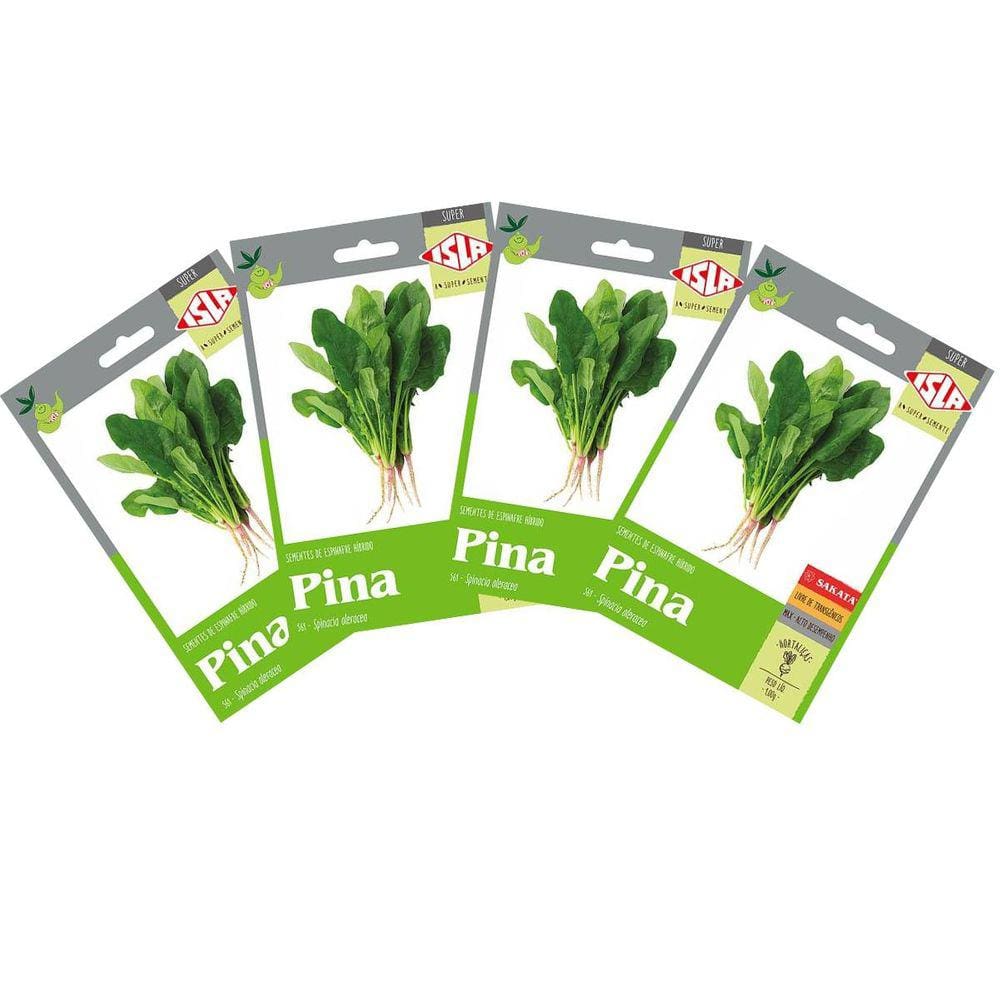 4X Sementes de Espinafre Híbrido Pina Super ISLA