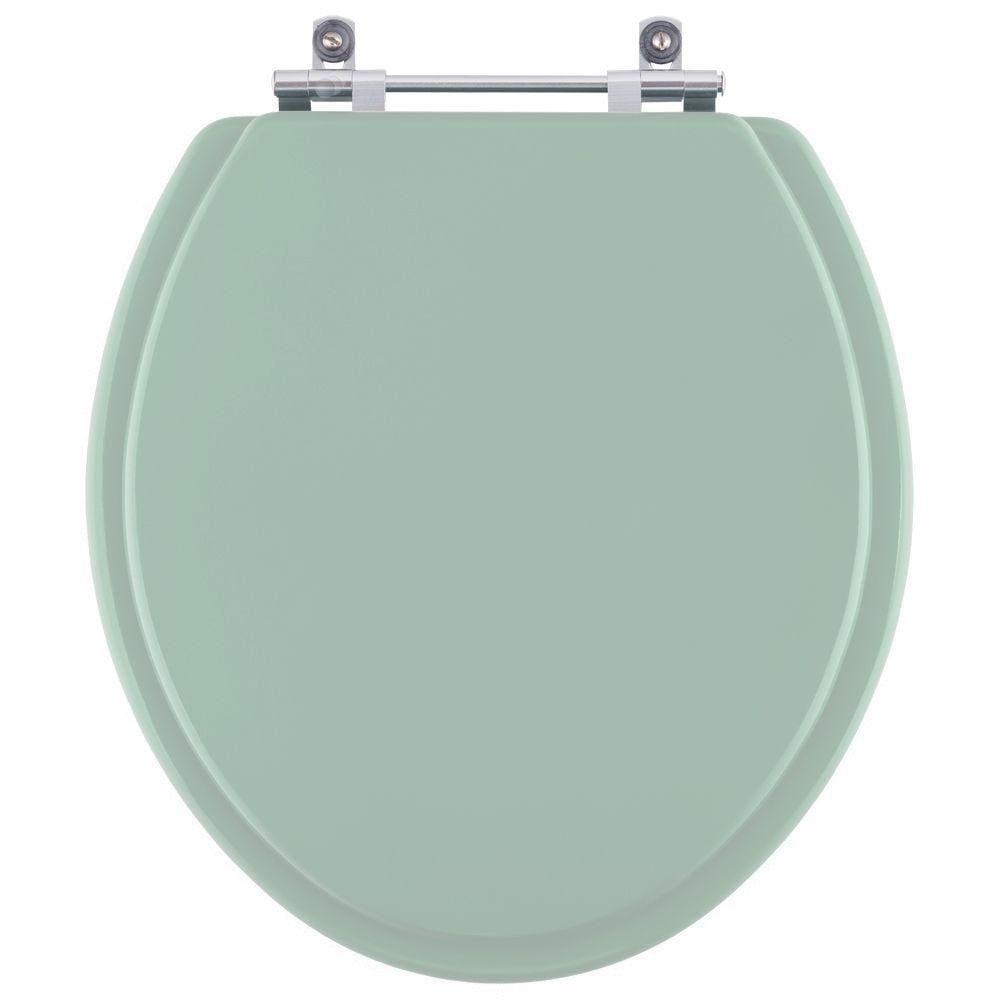 Assento Sanitário Araxa Verde para vaso Santa Clara