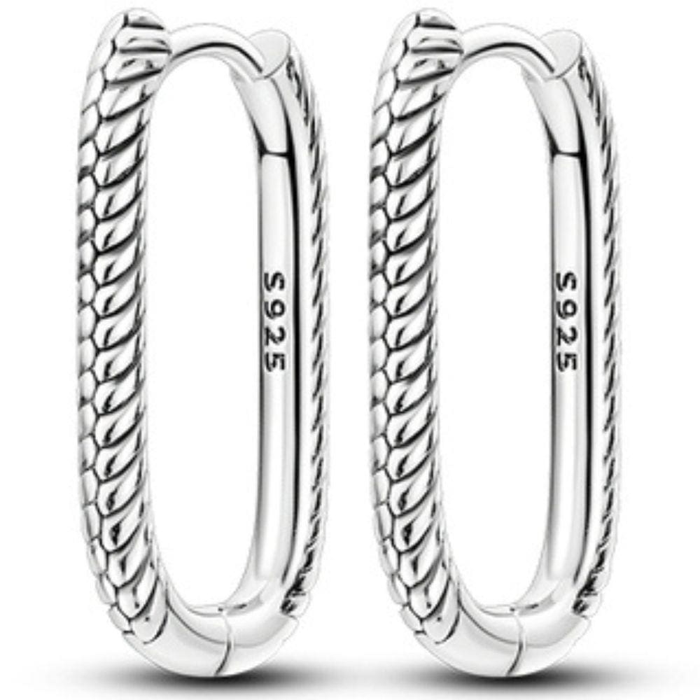 Brinco Argolas Charms Moments Berloque Prata