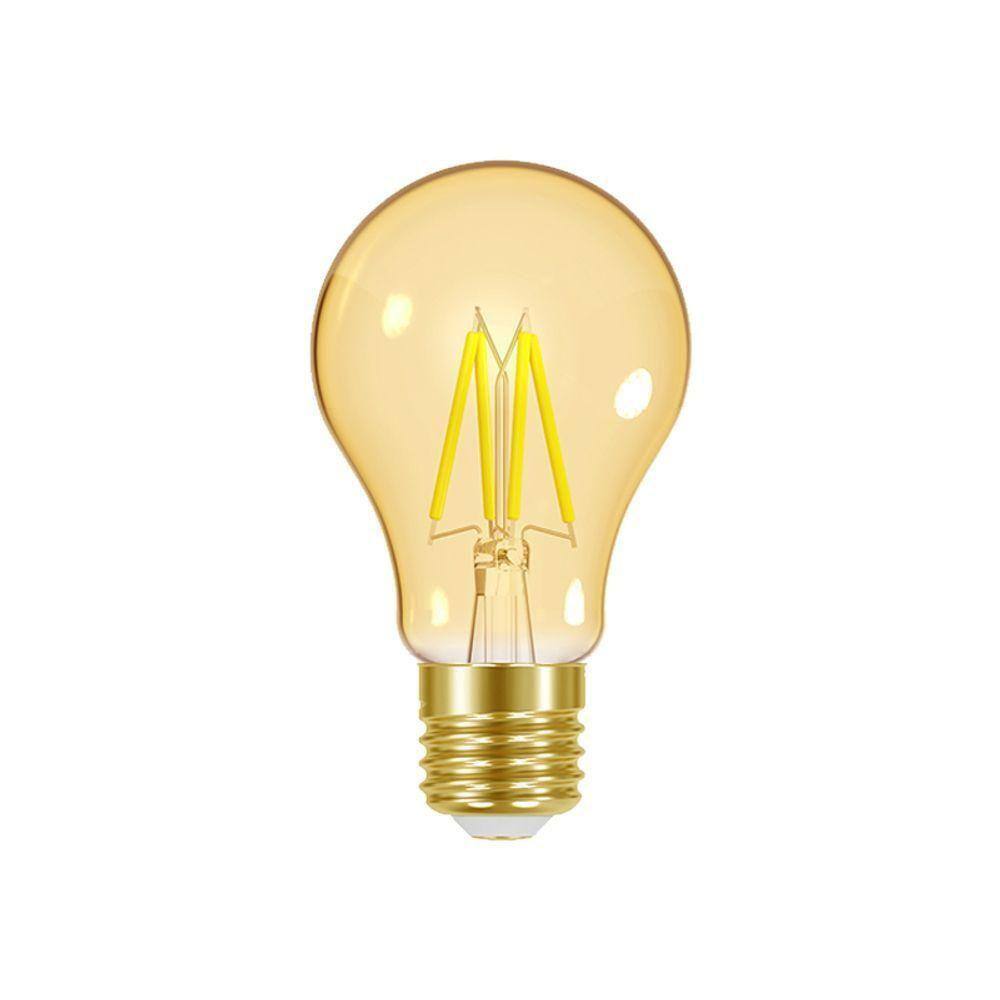Lâmpada Led Dimerizável Taschibra Filamento Vintage A60 4w E27 220v