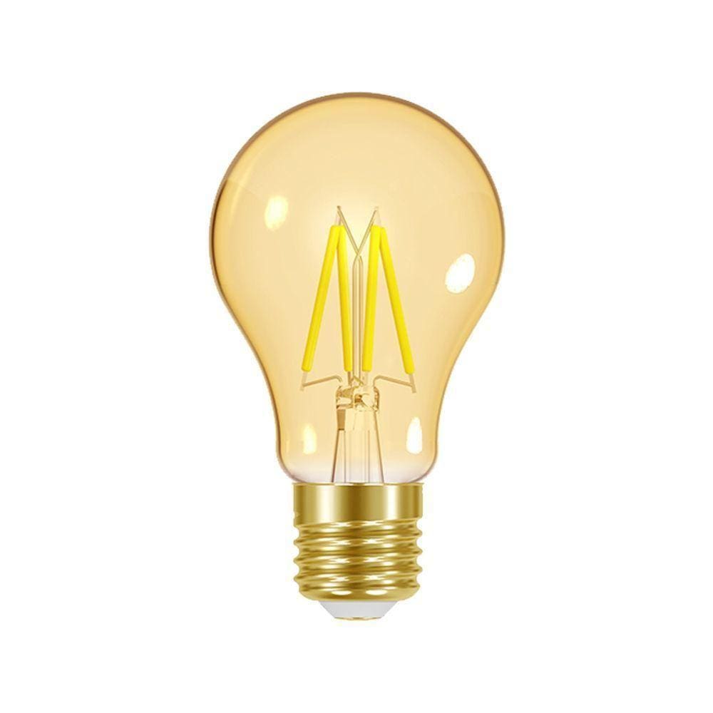 Lâmpada Led Taschibra Filamento Vintage A60 4w E27 Bivolt