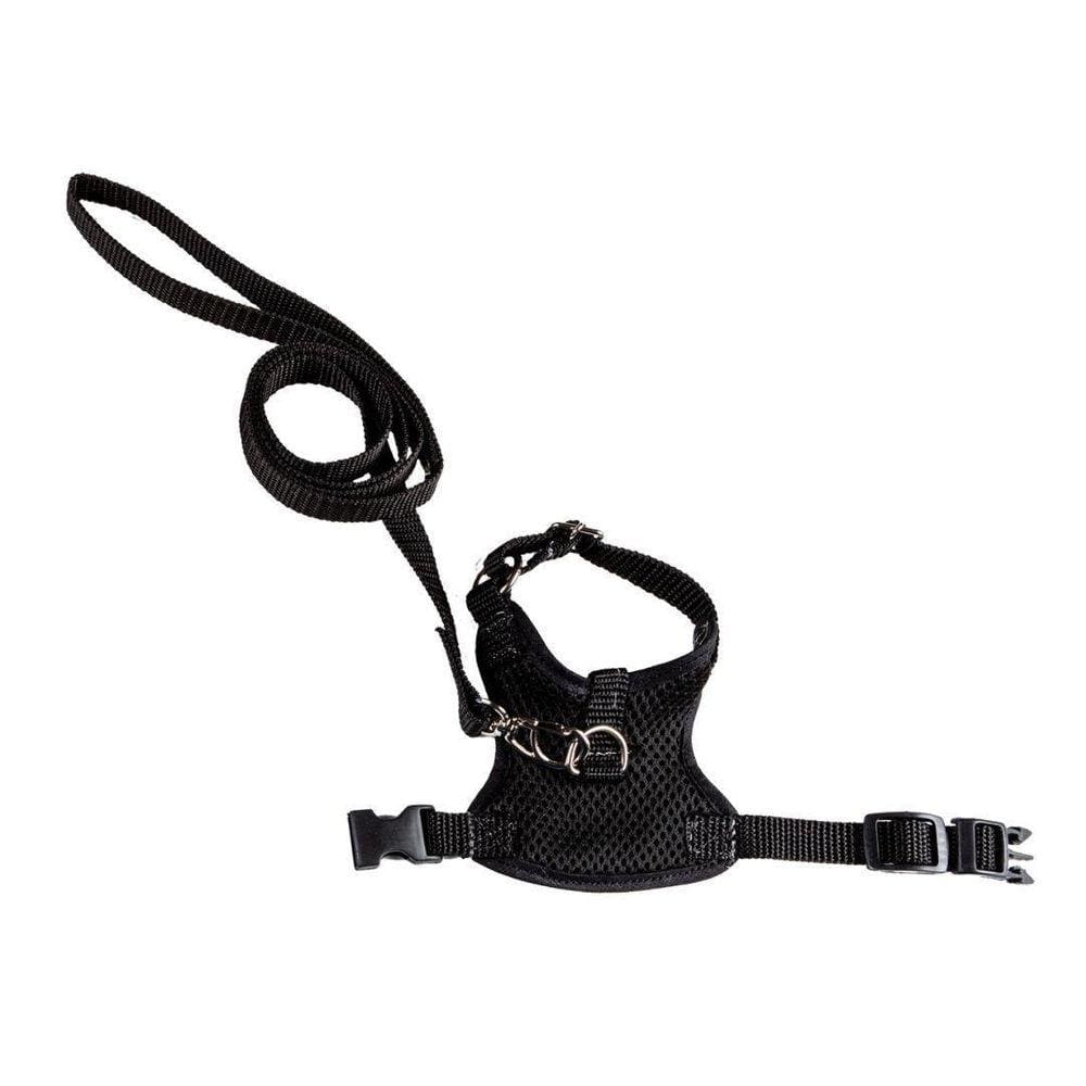 Coleira Peitoral Aerado para Hamster Preto PP | Nicapet