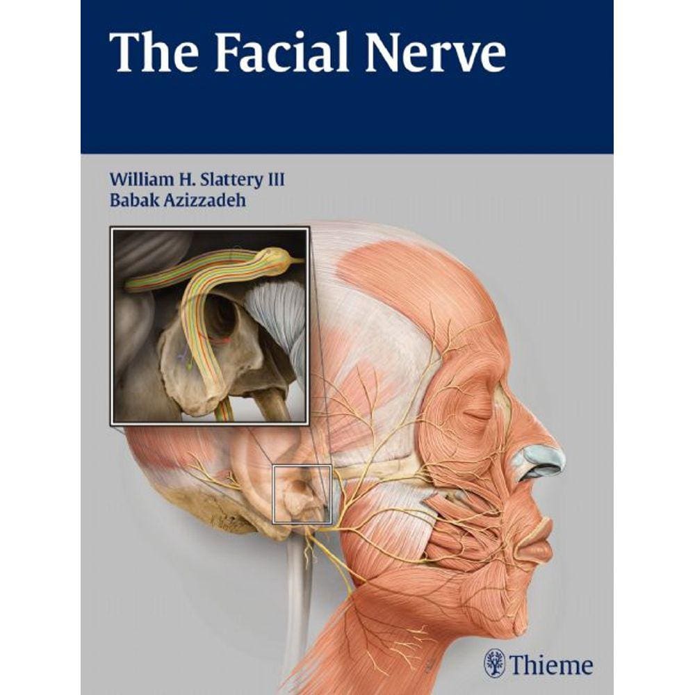 The Facial Nerve