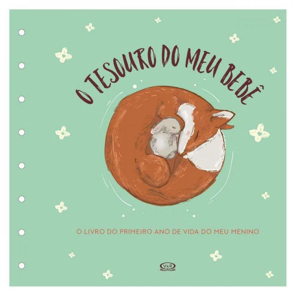 Tesouro Do Meu Bebê: O Livro De Recordações (Capa Verde)