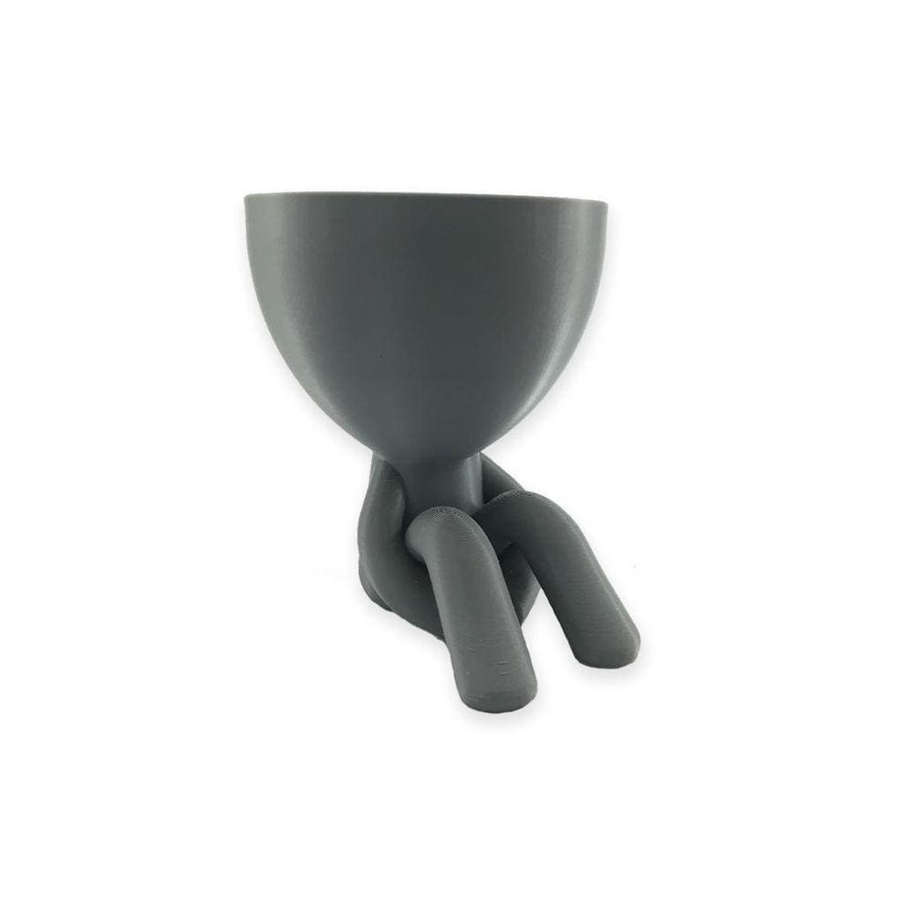 Vaso Sentado Cinza Para Cactos Ou Suculentas