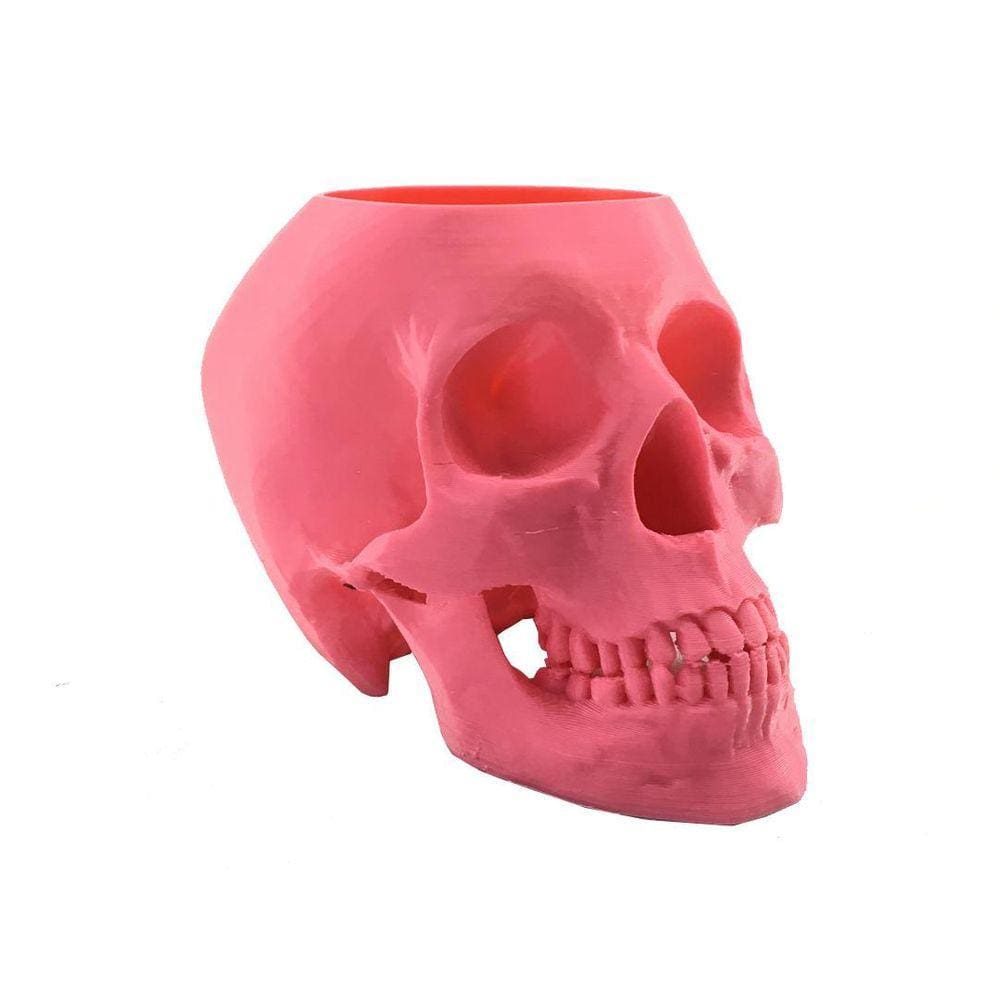 Caveira - Vaso Cactos Ou Suculentas - Rosa