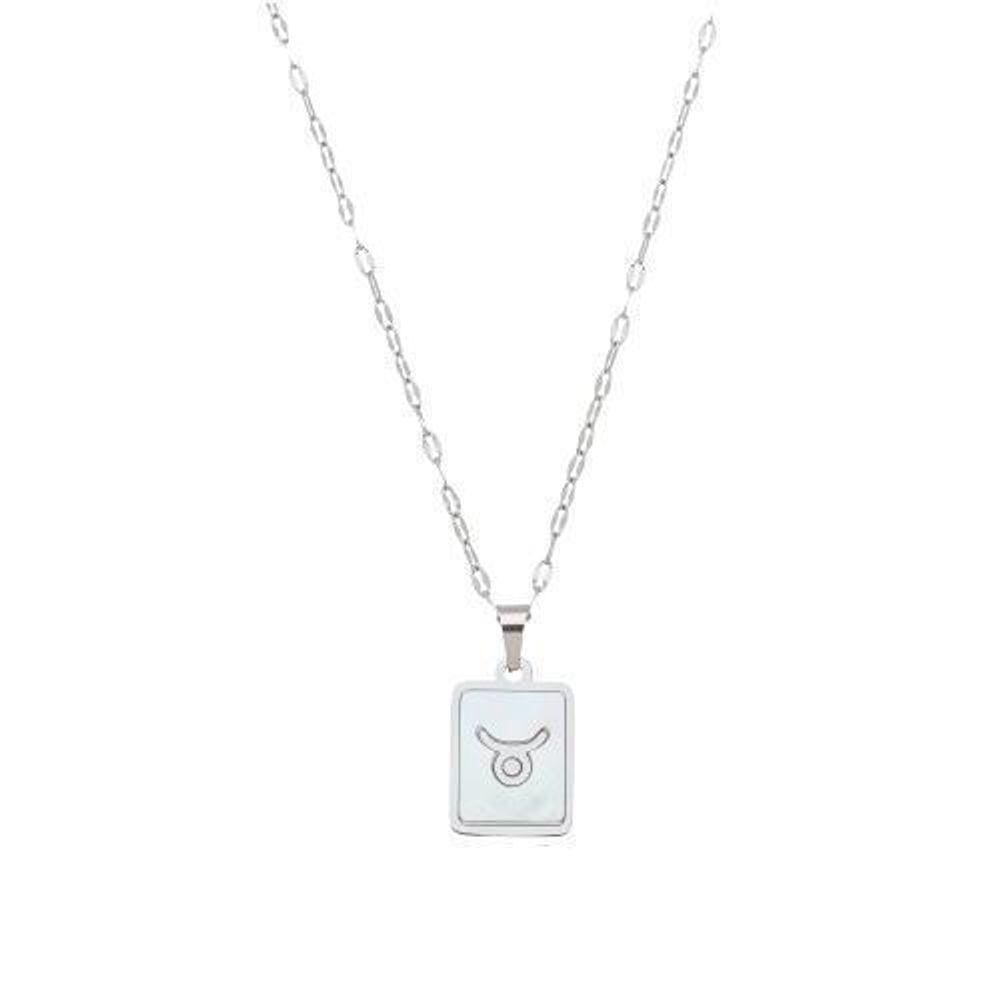 Colar Signo Madrepérola Corrente -Aço - Touro